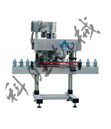 自动直列式旋盖机 